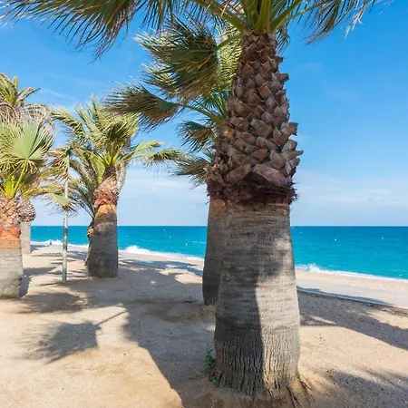 Homeholidaysrentals Amaral * Pineda de Mar
